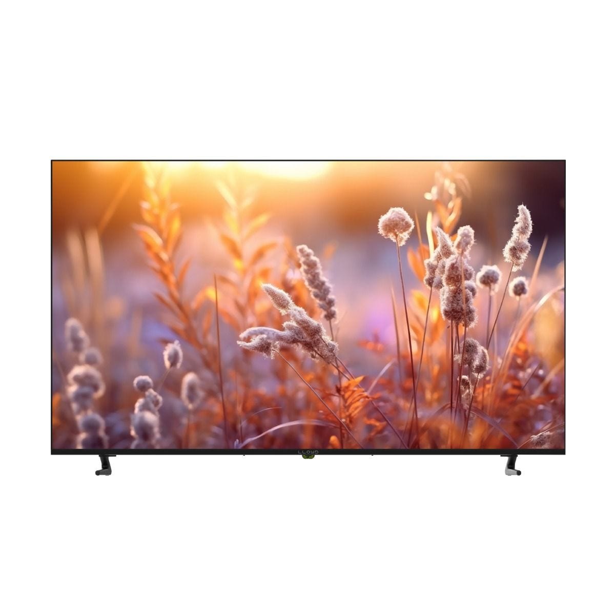LED Television 80 cm (32HS550G)